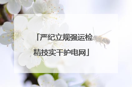 严纪立规强运检 精技实干护电网
