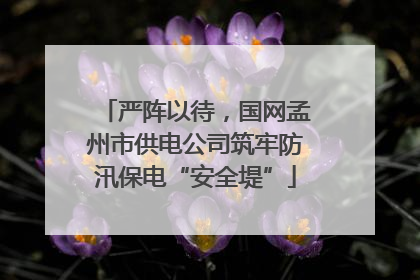 严阵以待，国网孟州市供电公司筑牢防汛保电“安全堤”