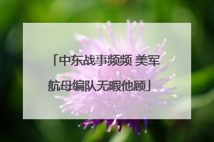 中东战事频频 美军航母编队无暇他顾