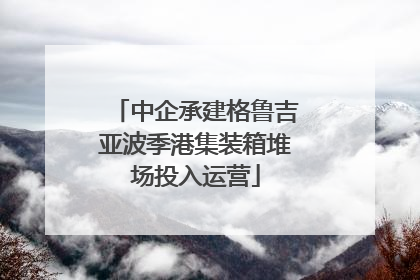 中企承建格鲁吉亚波季港集装箱堆场投入运营