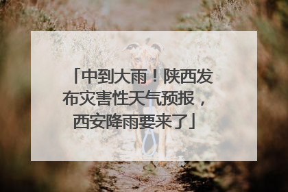 中到大雨！陕西发布灾害性天气预报，西安降雨要来了
