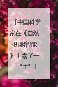 中国科学家在《自然·机器智能》上露了一“手”