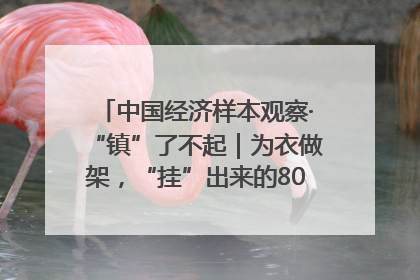 中国经济样本观察·“镇”了不起｜为衣做架，“挂”出来的80亿元“衣架产业”