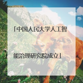 中国人民大学人工智能治理研究院成立