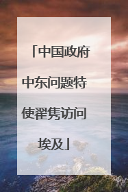 中国政府中东问题特使翟隽访问埃及