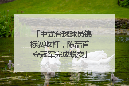 中式台球球员锦标赛收杆，陈喆首夺冠军完成蜕变