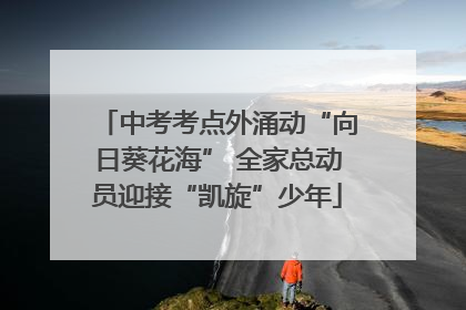 中考考点外涌动“向日葵花海” 全家总动员迎接“凯旋”少年
