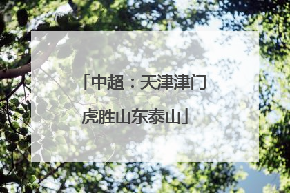 中超：天津津门虎胜山东泰山
