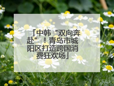 中韩“双向奔赴”！青岛市城阳区打造跨国消费狂欢场