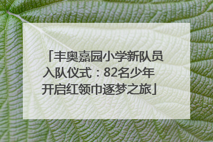 丰奥嘉园小学新队员入队仪式：82名少年开启红领巾逐梦之旅
