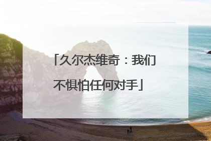 久尔杰维奇：我们不惧怕任何对手
