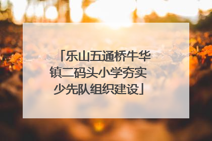 乐山五通桥牛华镇二码头小学夯实少先队组织建设