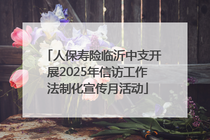 人保寿险临沂中支开展2025年信访工作法制化宣传月活动