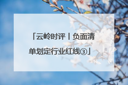 云岭时评丨负面清单划定行业红线③
