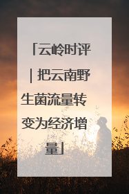 云岭时评｜把云南野生菌流量转变为经济增量