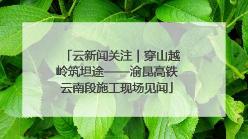云新闻关注｜穿山越岭筑坦途——渝昆高铁云南段施工现场见闻