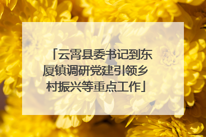 云霄县委书记到东厦镇调研党建引领乡村振兴等重点工作