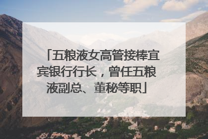 五粮液女高管接棒宜宾银行行长，曾任五粮液副总、董秘等职