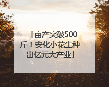亩产突破500斤！安化小花生种出亿元大产业