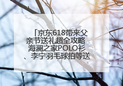 京东618带来父亲节送礼超全攻略 海澜之家POLO衫、李宁羽毛球拍等送到爸爸心坎上