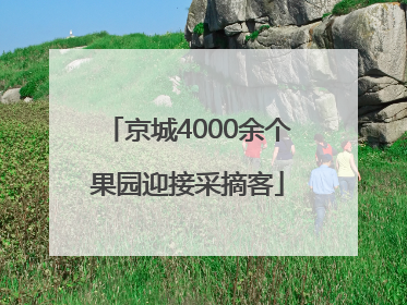 京城4000余个果园迎接采摘客