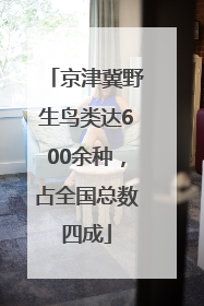 京津冀野生鸟类达600余种，占全国总数四成