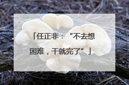 任正非：“不去想困难，干就完了”