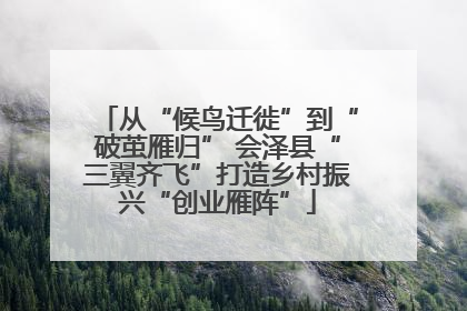 从“候鸟迁徙”到“破茧雁归” 会泽县“三翼齐飞”打造乡村振兴“创业雁阵”