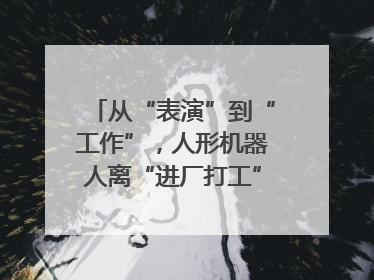 从“表演”到“工作”，人形机器人离“进厂打工”还有多久？｜机器人商业新纪元