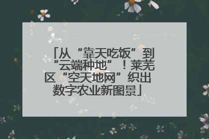 从“靠天吃饭”到“云端种地”！莱芜区“空天地网”织出数字农业新图景
