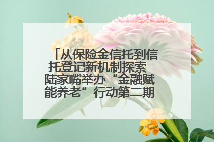 从保险金信托到信托登记新机制探索 陆家嘴举办“金融赋能养老”行动第二期行业交流会