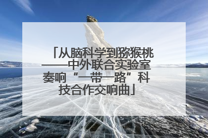 从脑科学到猕猴桃——中外联合实验室奏响“一带一路”科技合作交响曲