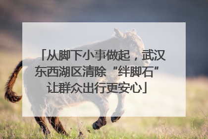 从脚下小事做起，武汉东西湖区清除“绊脚石”让群众出行更安心
