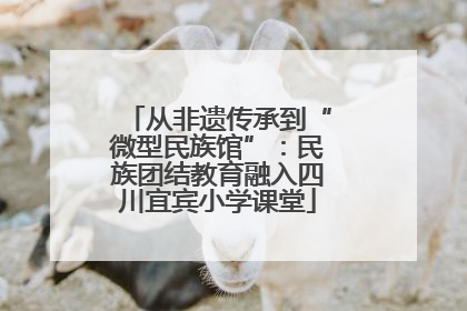 从非遗传承到“微型民族馆”：民族团结教育融入四川宜宾小学课堂