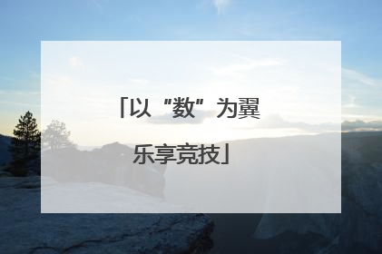 以“数”为翼 乐享竞技