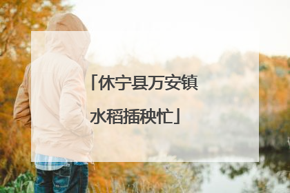 休宁县万安镇水稻插秧忙