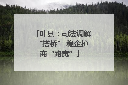 叶县：司法调解“搭桥” 稳企护商“路宽”
