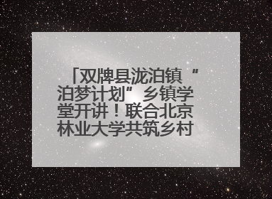 双牌县泷泊镇“泊梦计划”乡镇学堂开讲！联合北京林业大学共筑乡村教育新未来