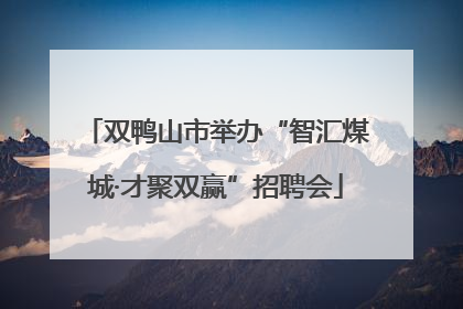 双鸭山市举办“智汇煤城·才聚双赢”招聘会