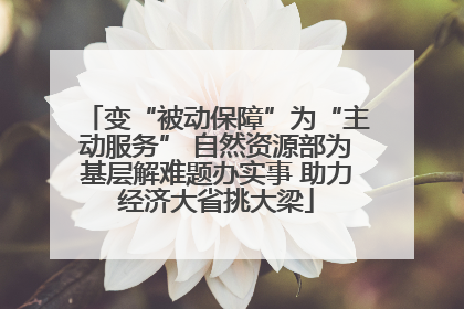 变“被动保障”为“主动服务” 自然资源部为基层解难题办实事 助力经济大省挑大梁
