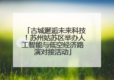 古城邂逅未来科技！苏州姑苏区举办人工智能与低空经济路演对接活动