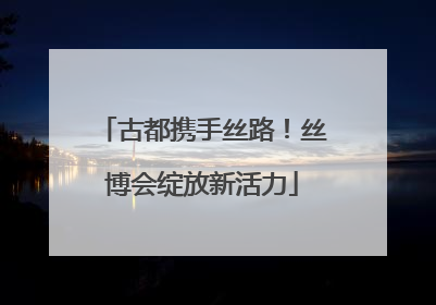 古都携手丝路！丝博会绽放新活力