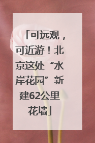 可远观，可近游！北京这处“水岸花园”新建62公里花墙