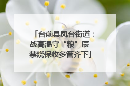 台前县凤台街道：战高温守“粮”辰 禁烧保收多管齐下