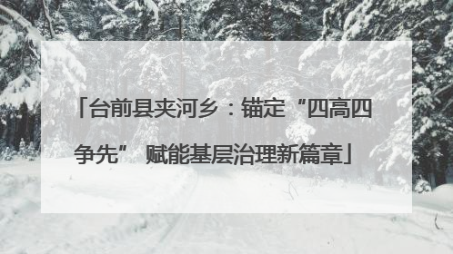台前县夹河乡：锚定“四高四争先” 赋能基层治理新篇章