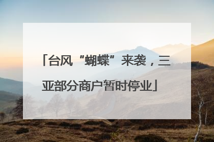 台风“蝴蝶”来袭，三亚部分商户暂时停业