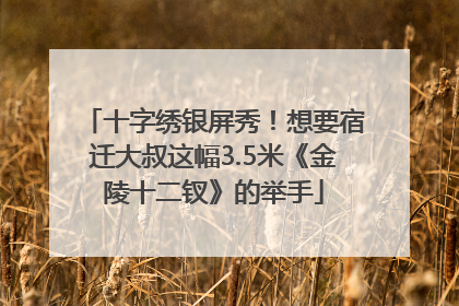 十字绣银屏秀！想要宿迁大叔这幅3.5米《金陵十二钗》的举手