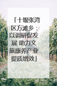 十堰张湾区方滩乡：以调研促发展 助力文旅康养产业提质增效