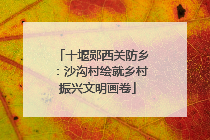 十堰郧西关防乡：沙沟村绘就乡村振兴文明画卷