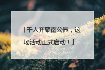 千人齐聚南公园，这场活动正式启动！